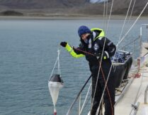 More about RAW project field works on Svalbard